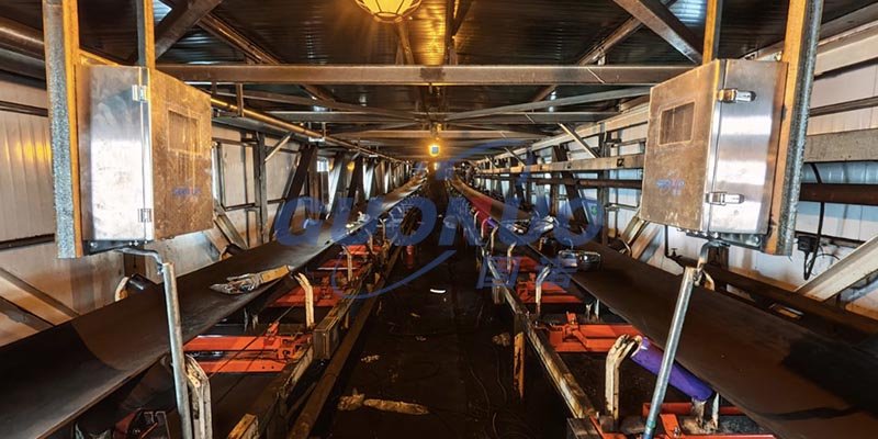 FSD Electronic Belt Weigher