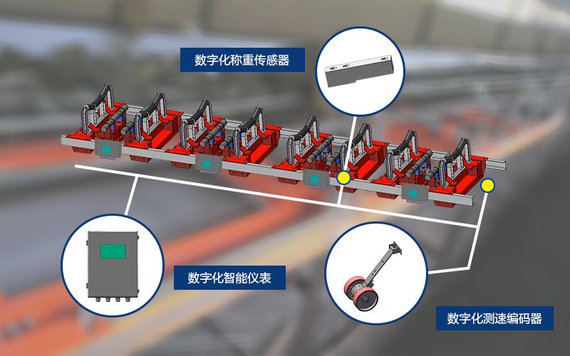 Modular electronic belt scale