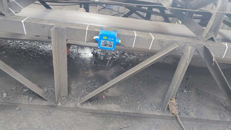 ICS-14A Explosion-Proof Belt Scale