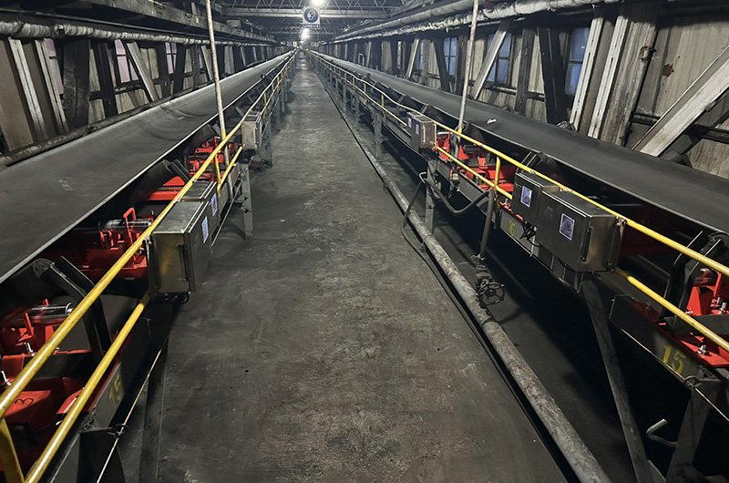 Matrix belt scale