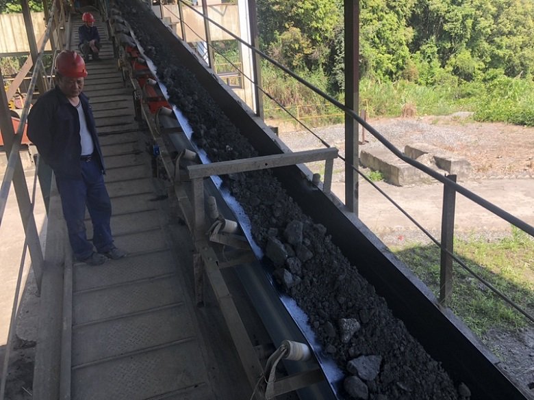 coal conveying electronic belt scale